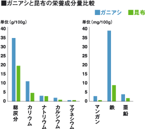 ガニアシ 昆布 比較表